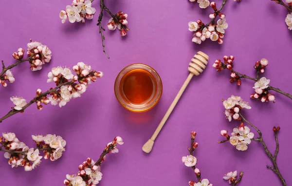 Bal arısı kavanozu, mor arka planda güzel beyaz çiçekli dallar. İlkbahar konsepti. Düz yatış, üst görünüm