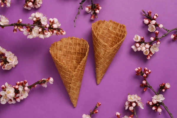 Mor arka planda güzel çiçekli dalları olan gözleme külahı. İlkbahar konsepti. Düz yatış, üst görünüm