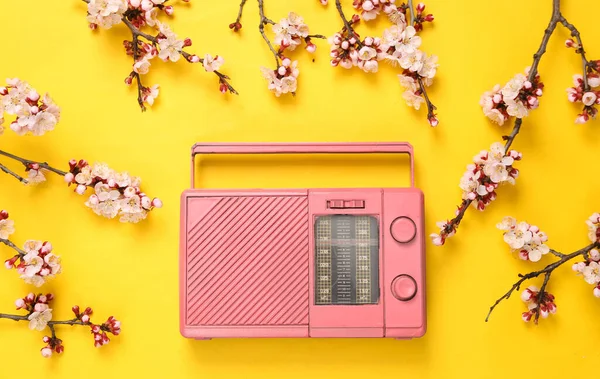 Radio Rosa Retrò Con Bellissimi Rami Fioriti Sfondo Giallo Primavera — Foto Stock