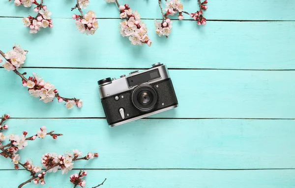 Retro kamera ve mavi ahşap arka planda güzel pembe çiçekli dallar. Bahar zamanı, konsept. Düz yatış, üst görünüm