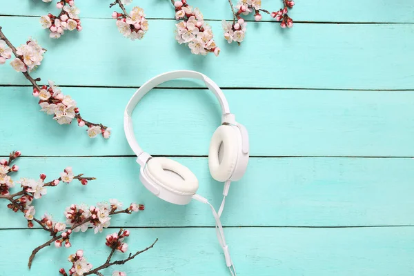 Słuchawki Piękne Kwitnące Gałęzie Niebieskim Drewnianym Tle Wiosna Koncepcja Muzyki — Zdjęcie stockowe