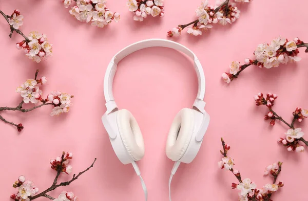 Słuchawki Piękne Kwitnące Gałęzie Różowym Tle Wiosna Koncepcja Muzyki Płaskie — Zdjęcie stockowe