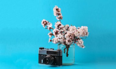 Mavi arka planda cam kavanozda çiçeklenen güzel dallara sahip Retro kamera.