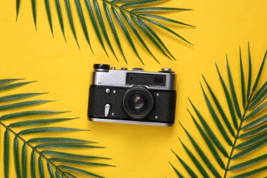 Retro kamera, sarı arka planda palmiye yaprakları. Tropik, seyahat planı. Üst Manzara. Düz yatıyordu