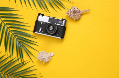 Retro kamera, deniz kabukları ve sarı arka planda palmiye yaprakları. Tropik, seyahat planı. Üst Manzara. Düz yatıyordu
