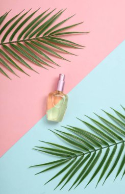 Pembe arka planda parfüm şişesi ve palmiye yaprakları. Tropikal, güzellik kompozisyonu. Üst Manzara. Düz yatıyordu