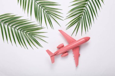 Beyaz arka planda uçak ve palmiye yeşili yapraklar. Seyahat konsepti. Tropikal kompozisyon. Üst Manzara. Düz yatıyordu 