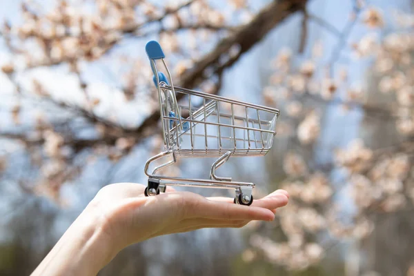 Hand Hält Einkaufswagen Auf Hintergrund Eines Blühenden Baumes — Stockfoto