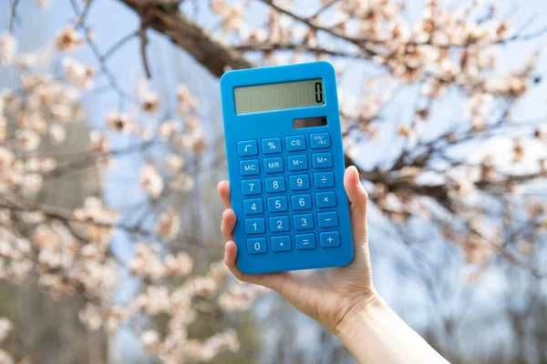 Hand Håller Miniräknare Bakgrunden Blommande Träd — Stockfoto