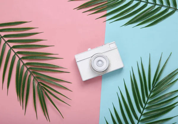 Retro Kamera Palmblätter Auf Rosa Blauem Hintergrund Tropisches Minimales Layout — Stockfoto