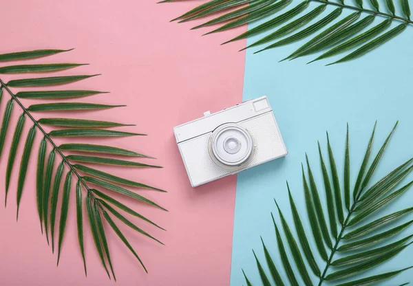 Macchina Fotografica Retrò Foglie Palma Sfondo Blu Rosa Layout Tropicale — Foto Stock