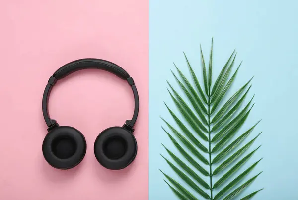 Słuchawki Palmowo Zielony Liść Różowym Niebieskim Tle Koncepcja Muzyki Skład — Zdjęcie stockowe