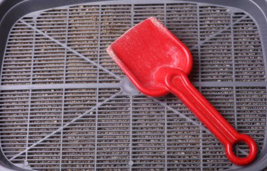 Temiz kürekli kedi tuvaleti.