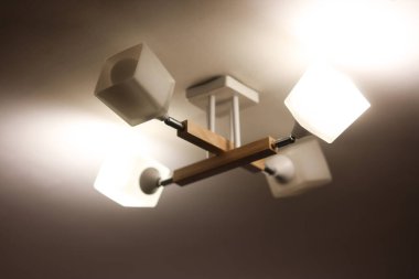 İskandinav Tarzında Parlak Tavan Lambası