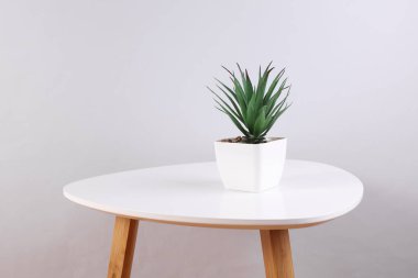 Kahve sehpasının üstündeki tencerede bulunan dekoratif yapay bitki.