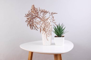 Kurumuş çiçekli vazo ve kahve sehpasında süs bitkisi.