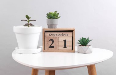 21 Eylül tarihli ahşap takvim düzenleyici ve masa üzerinde dekoratif bitkiler