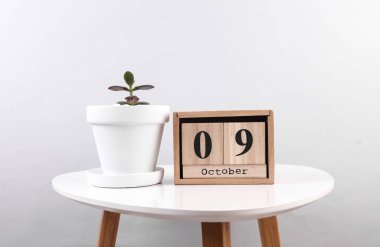 Ahşap takvim düzenleyicisi. Tarihi Ekim 09 ve masa üzerindeki dekoratif bitki.