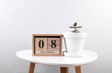 Ahşap takvim düzenleyicisi. Tarihi Ekim 08 ve masa üzerinde dekoratif bitki.