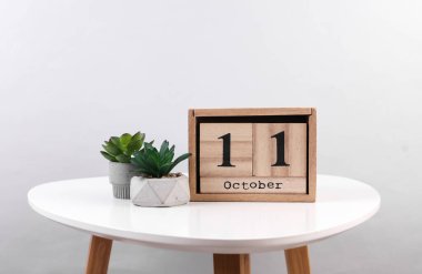 11 Ekim tarihli ahşap takvim düzenleyici ve masa üzerinde dekoratif bitki