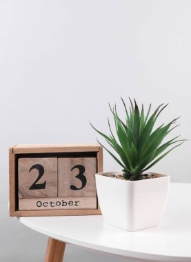23 Ekim tarihli ahşap takvim düzenleyici ve masa üzerinde dekoratif bitki