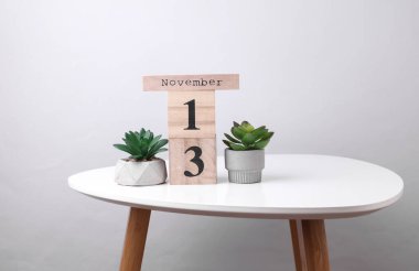 Wooden calendar organizer with date november 13 and decorative plants on table