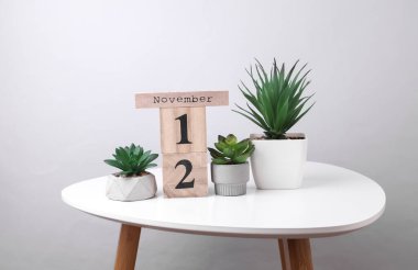 12 Kasım tarihli ahşap takvim düzenleyici ve masa üzerinde dekoratif bitkiler