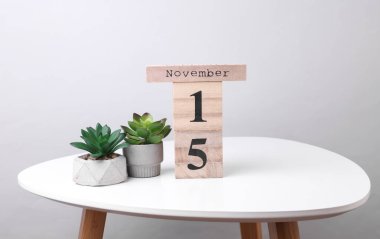 Wooden calendar organizer with date november 15 and decorative plants on table