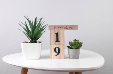 19 Kasım tarihli ahşap takvim düzenleyici ve masa üzerinde dekoratif bitkiler
