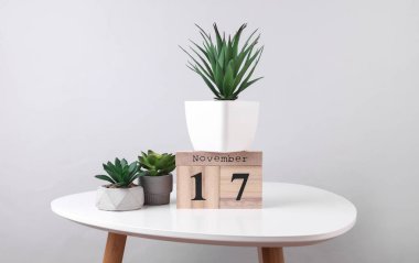 17 Kasım tarihli ahşap takvim düzenleyici ve masa üzerinde dekoratif bitkiler