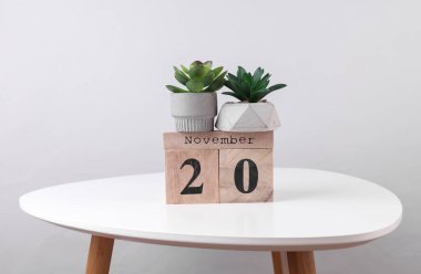 20 Kasım tarihli ahşap takvim düzenleyici ve masa üzerinde dekoratif bitkiler