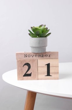 21 Kasım tarihli ahşap takvim düzenleyici ve masa üzerinde dekoratif bitki