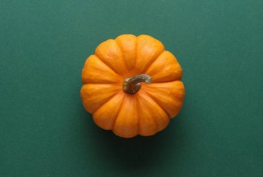 Yeşil arka planda minyatür doğal balkabağı. Sonbahar hasadı. Cadılar Bayramı teması. Üst görünüm