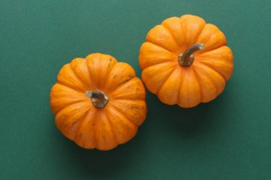 Yeşil arka planda minyatür doğal balkabakları. Sonbahar hasadı. Cadılar Bayramı teması. Üst görünüm