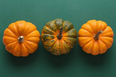 Yeşil arka planda minyatür doğal balkabakları. Sonbahar hasadı. Cadılar Bayramı teması. Üst görünüm