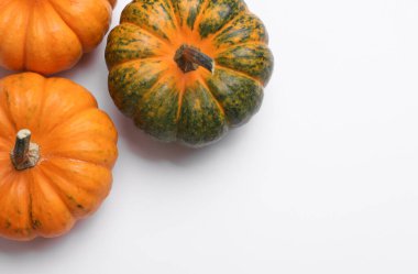 Beyaz arka planda minyatür doğal balkabakları. Sonbahar hasadı. Cadılar Bayramı teması. Üst Manzara. Boşluğu kopyala