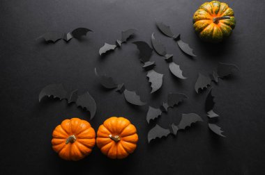 Kağıt siyah arka planda siyah yarasalar ve balkabakları keser. Cadılar Bayramı dekoru. Düz yatıyordu