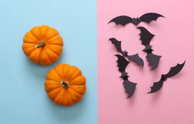 Mavi ve pembe arka planda balkabakları ve yarasaları olan Cadılar Bayramı dekoru. Üst Manzara. Düz yatıyordu