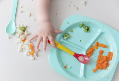 Bebek sağlıklı yiyecekler yiyor. Tabakta yemek var. Bebeğin ilk yemeği.