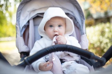 Bebek arabasındaki sevimli küçük bebek portresi.
