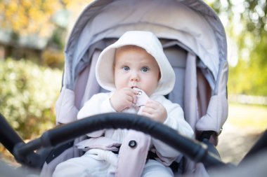 Bebek arabasındaki sevimli küçük bebek portresi.