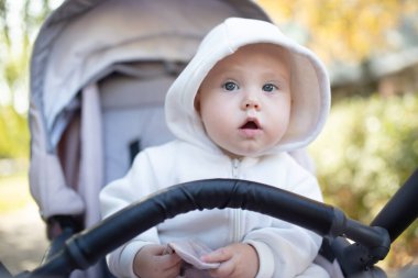 Bebek arabasındaki sevimli küçük bebek portresi.