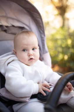 Bebek arabasındaki sevimli küçük bebek portresi.
