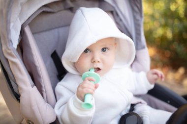 Kapüşonlu, dişlek, dışarıda bebek arabasında oturan tatlı bir bebek.