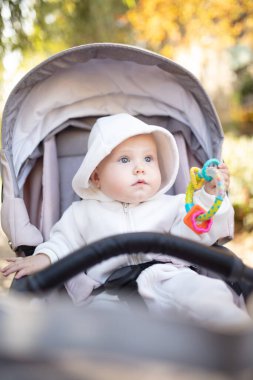 Kapüşonlu şirin bebek çıngırakla oynuyor ve dışarıda bebek arabasında oturuyor.