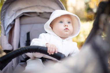 Kapüşonlu küçük şirin bebek dışarıda bebek arabasında oturuyor.