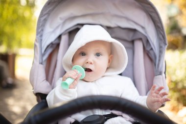 Kapüşonlu, dişlek, dışarıda bebek arabasında oturan tatlı bir bebek.