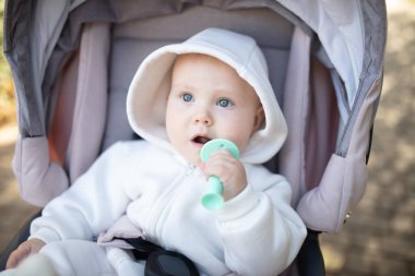 Kapüşonlu, dişlek, dışarıda bebek arabasında oturan tatlı bir bebek.