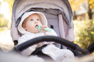 Kapüşonlu, dişlek, dışarıda bebek arabasında oturan tatlı bir bebek.