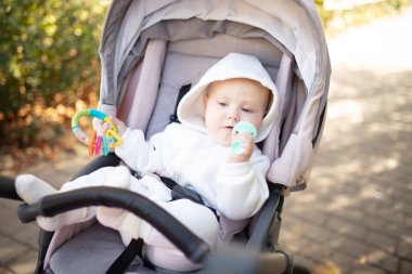 Kapüşonlu, dişlek, dışarıda bebek arabasında oturan tatlı bir bebek.